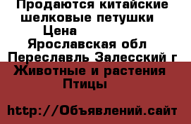 Продаются китайские шелковые петушки › Цена ­ 700-1000 - Ярославская обл., Переславль-Залесский г. Животные и растения » Птицы   